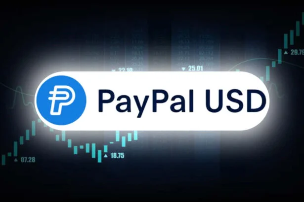 PayPal USD: What We Know About the Accidental Minting and Stellar Integration