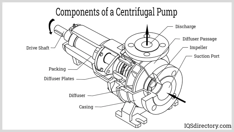 The Pump.fun Phenomenon: What It Is and Why It's Reshaping Solana