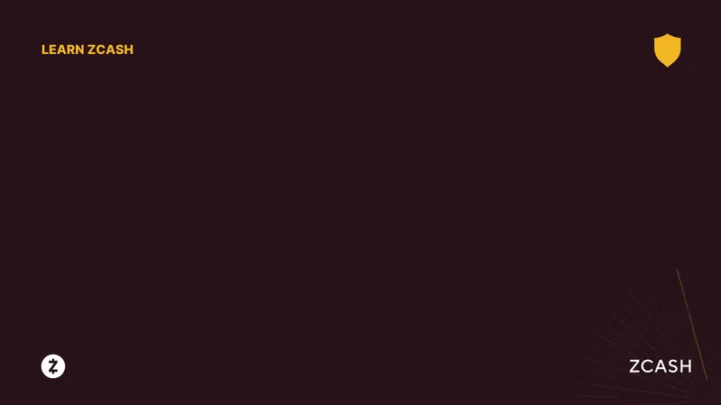 The Zcash Breakout: What's Driving the Surge and Its Future Potential